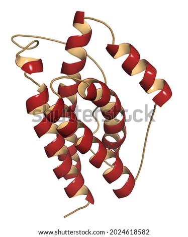 Interleukin 6 (IL-6) cytokine and myokine protein  Anti-IL-6 antibodies are used in treatment of arthritis  3D illustration  Foto d'archivio © 
