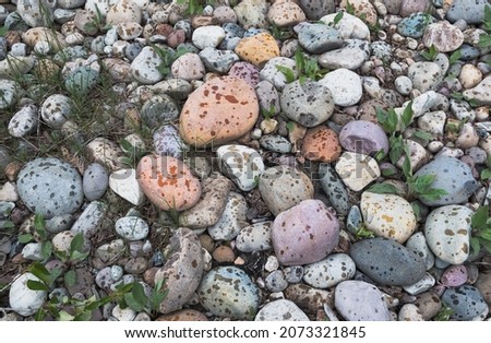 A closeup shot of rocks at the riverbed of Cottonwood Creak, Yellowstone National Park, Wyoming, USA Foto d'archivio © 