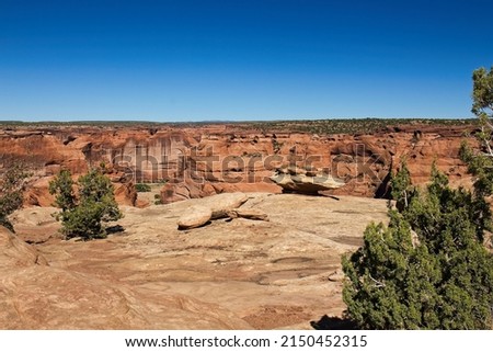 Several rocks and Juniper trees on a flat area of rock at Canyon de Chelle, Arizona Photo stock © 