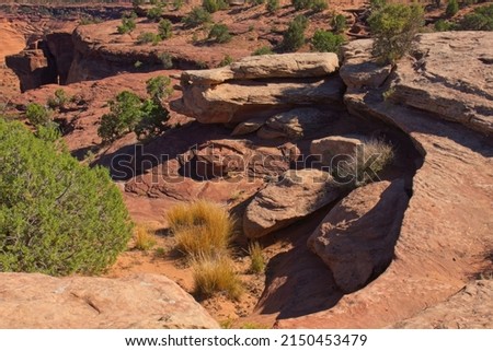 Eroded rock forming a bowl at Canyon de Chelle, Arizona Photo stock © 