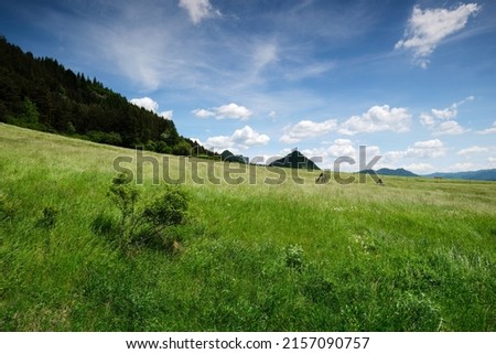 Similar – Foto Bild Nadelwald mit niedrigem Winkel