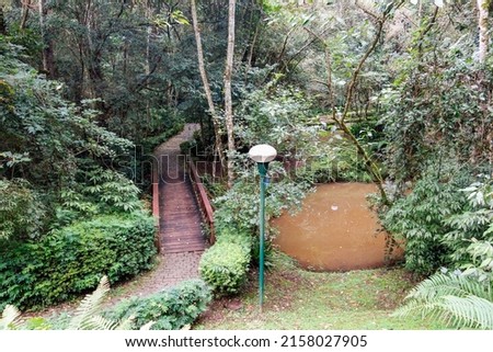 Bosque Alemao, or German Forest Park, in Curitiba, Brazil   trail walkway Foto stock © 