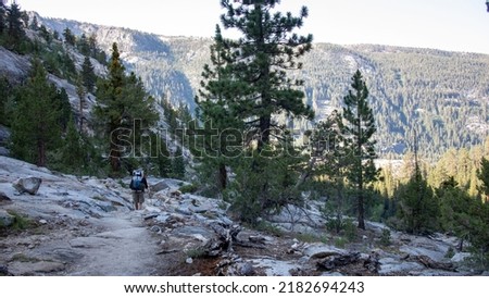 Tall evergreen trees of John Muir Trail over a background of mountains, California Stok fotoğraf © 