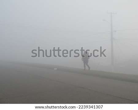 Similar – Image, Stock Photo Foggy day on the dike in Friesland