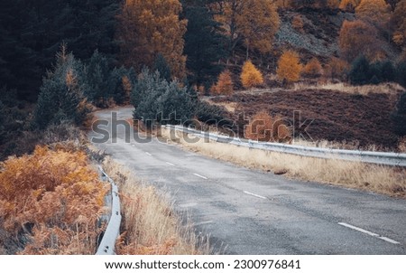 Similar – Image, Stock Photo #A9# Autumn in the forest