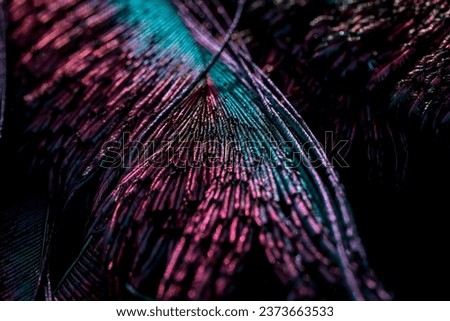 Similar – Image, Stock Photo Macro shot of a snowdrop in winter