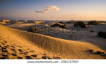 Similar – Foto Bild Maspalomas schön