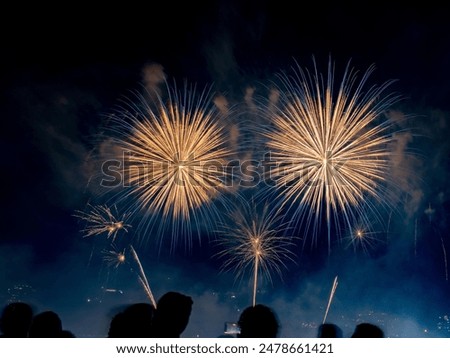 Similar – Image, Stock Photo Golden Explosion Lifestyle