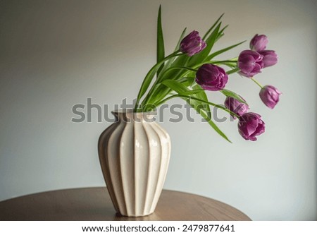 Image, Stock Photo Cream vase with a succulent plant on a pink background