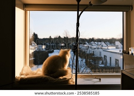 Similar – Image, Stock Photo Attention Winter Nature