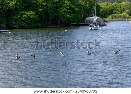 Similar – Image, Stock Photo Floating boat in peaceful clear water