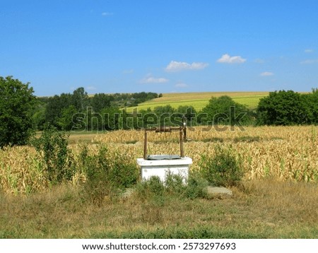 Similar – Image, Stock Photo Pitoresque tree by a misty river, somewhere between fantasy and depth psychology