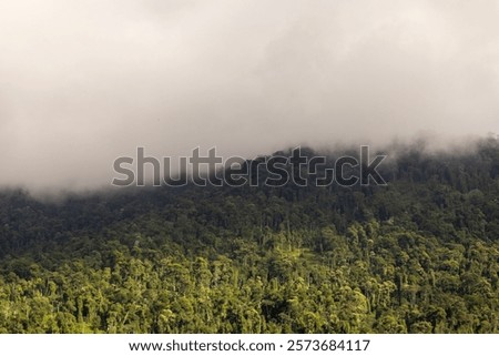 Similar – Image, Stock Photo thick grey clouds of smoke surrounded by glowing sparks