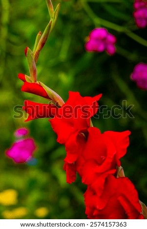 Similar – Image, Stock Photo Red flowers growing against a pale yellow wall