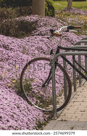 Similar – Image, Stock Photo Bicycle near pink and black wall