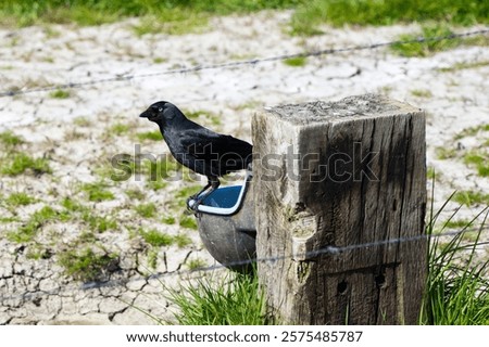 Similar – Image, Stock Photo Wild area Container