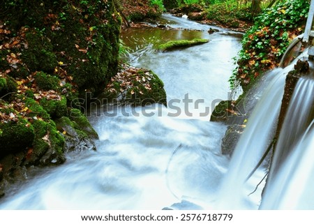 Similar – Image, Stock Photo Waterfall flowing through autumn forest in daylight