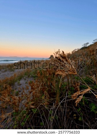 Similar – Image, Stock Photo Sunset sky over coastal city and sea