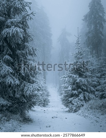 Similar – Foto Bild Winterwald unter nebligem Himmel am Abend