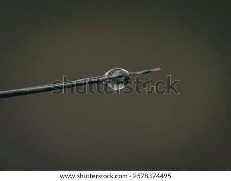 Similar – Image, Stock Photo Water droplets hang on the tip of a larch needle and reflect the other tips.