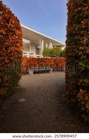 Similar – Image, Stock Photo autumn beech hedge in the park
