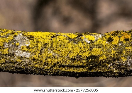 Similar – Image, Stock Photo A selective focus shot of a beautiful female Latina sitting on the rock