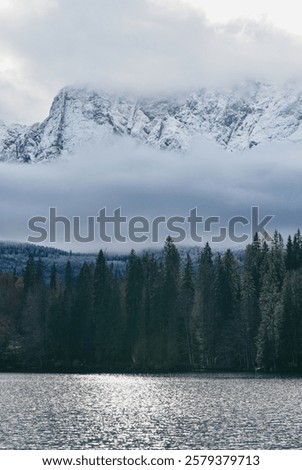 Similar – Foto Bild Winterwald unter nebligem Himmel am Abend