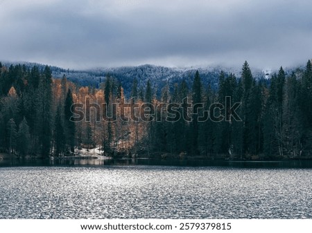 Similar – Foto Bild Winterwald unter nebligem Himmel am Abend