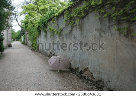 Similar – Image, Stock Photo Ivy growing up on a building