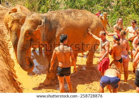 CHIANG MAI, THAILAND - MARCH 7 : People can opportunity to experience the lifestyle of elephants and mud spa with the elephant. (no hook, no chain) on MARCH 7, 2015 in Chiang Mai, Thailand.