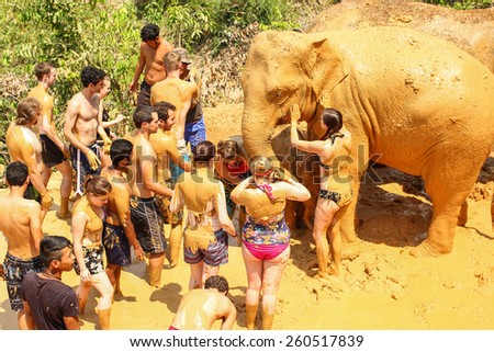 CHIANG MAI, THAILAND - MAR 13 : People can opportunity to experience the lifestyle of elephants and mud spa with the elephant. (no hook, no chain, no riding) on MARCH 13, 2015 in Chiang Mai, Thailand.