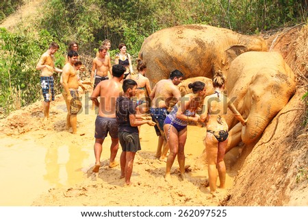 CHIANG MAI, THAILAND - MARCH 16 : People can opportunity to experience the lifestyle of elephants and mud spa with elephant. (no hook, no chain) on MARCH 16, 2015 in Chiang Mai, Thailand.