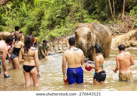 CHIANG MAI, THAILAND - APRIL 13, 2015 : People have opportunity to experience the lifestyle of elephants and bathing with elephant \
in river. (no hook, no chain, no riding) in Chiang Mai, Thailand.