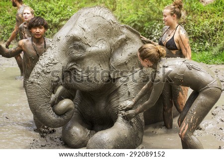 CHIANG MAI, THAILAND - JUNE 30, 2015 : Tourist playing mud with elephant in Chiang Mai, Thailand.
