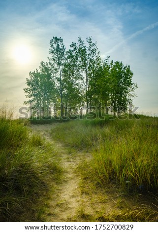 Similar – Image, Stock Photo Path through the dunes with a view of the beach of the North Sea