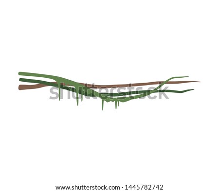 Wild Tropical Green Liana Stems with Leaves, Jungle Plant Decorative Element, Rainforest Flora Vector Illustration