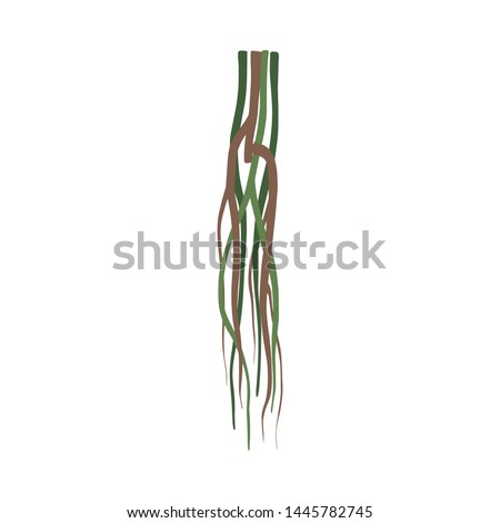 Liana Stems Jungle Plant Decorative Element, Rainforest Flora Vector Illustration