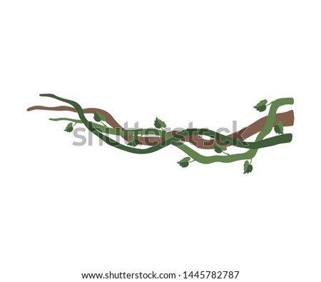 Liana Branches with Leaves, Jungle Plant Decorative Element, Rainforest Flora Vector Illustration