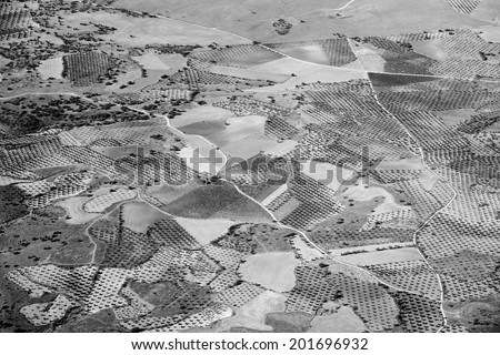 Real cultivated landscape taken from an airplane (black and white)