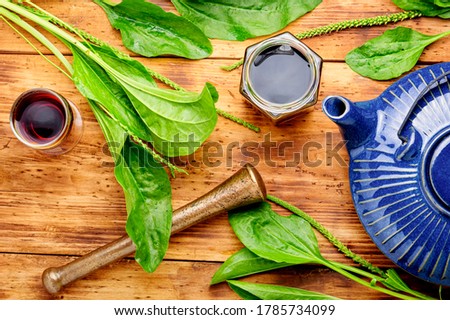 Healing herbal tea from plantain.Teapot with medicinal herbal tea.Herbal medicine