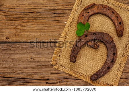 Two very old cast iron metal horse horseshoes, fresh clover leaf. Good luck symbol, St.Patrick's Day concept. Antique wooden background, horse accessories