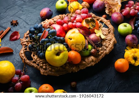 Set of fruits,grapes and nuts.Autumn food still life with season fruits