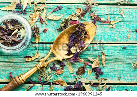 Dried natural basil spice in spoon.Natural dried herbs