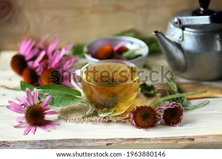 Selective focus. Echinacea tea in a cup. Echinacea flowers. Teapot and a cup of tea.