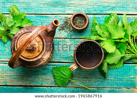 Herbal tea with nettle leaves.Herbal medicine,homeopathy.Homeopathic herbs