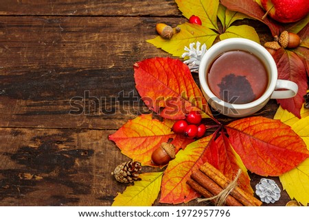 Hot tea with colorful autumn leaves, acorns, cinnamon and rosehip berries. Good mood with fall foliage. Old wooden boards background, top view