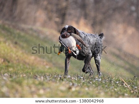 Shutterstock Puzzlepix