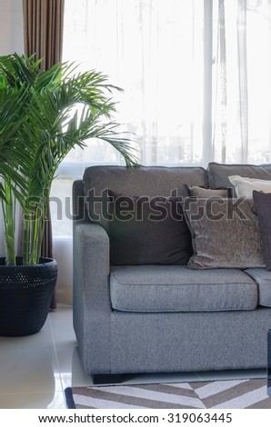 grey modern sofa with pillows and black vase of plants in living room