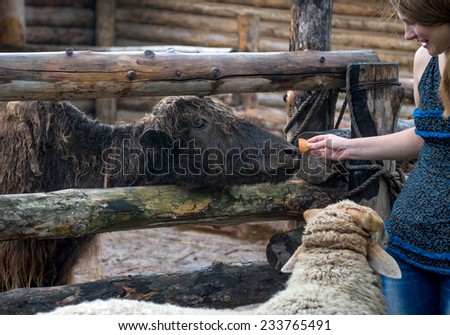 Moscow region, village Morozova - August 17, 2014. Ethnic farm, the festival of indigenous Northern peoples, ethnic Park 