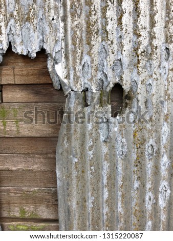 Shutterstock Puzzlepix